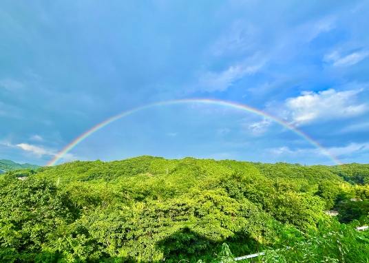 架け橋